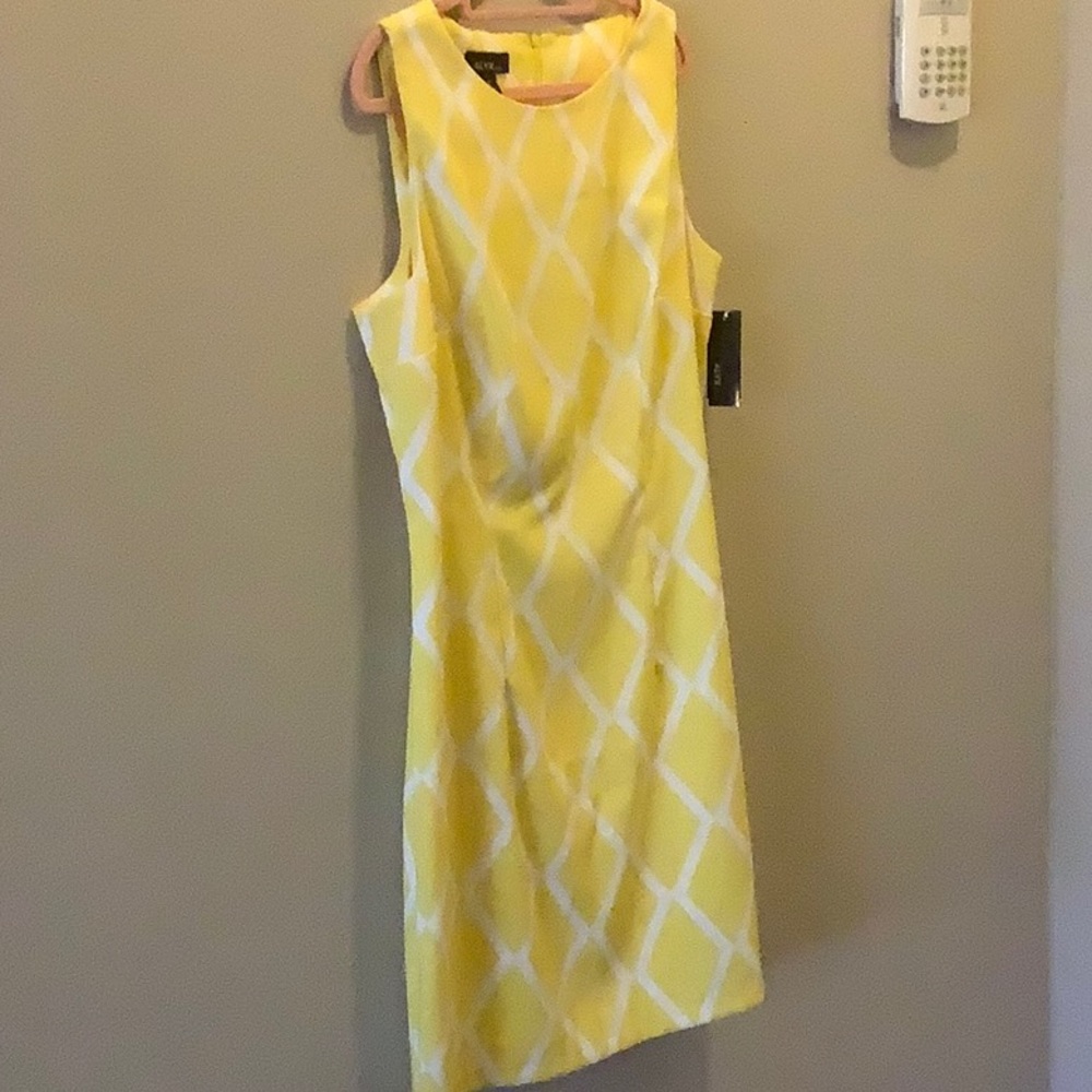 Ladies dress